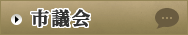 市議会