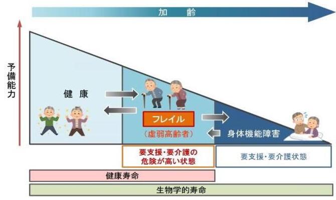 フレイルの概念図