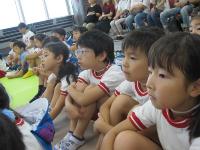 静かにお話を聞いているよ
