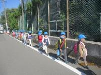 お散歩遠足
