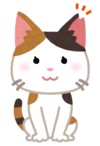 さくらねこ