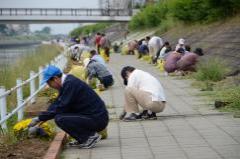 河川環境美化活動写真1