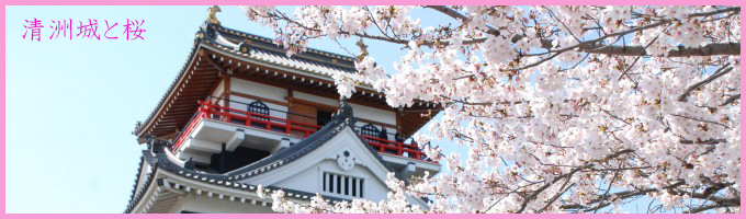 清洲城・桜