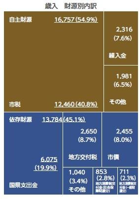 財源別予算（歳入）