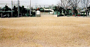 西枇杷島子ども野球場の写真